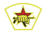 Армия №10